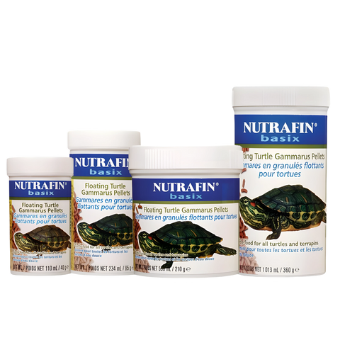 Nutrafin Basix Tortugas