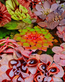 Ludwigia Sedioides
