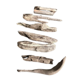 Troncos curados para acuarios