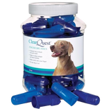 Dedal para dientes Clear Quest