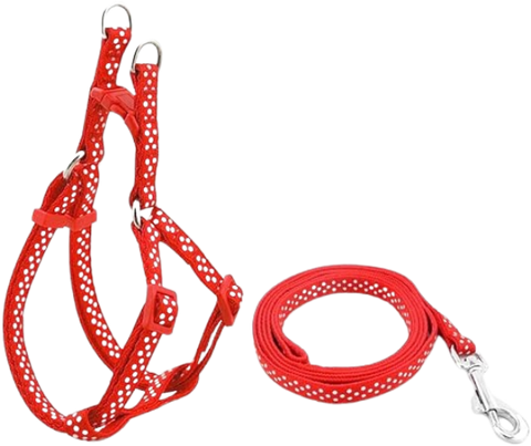 Arnés con paseador de Nylon