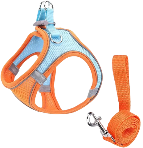 Pechera con paseador