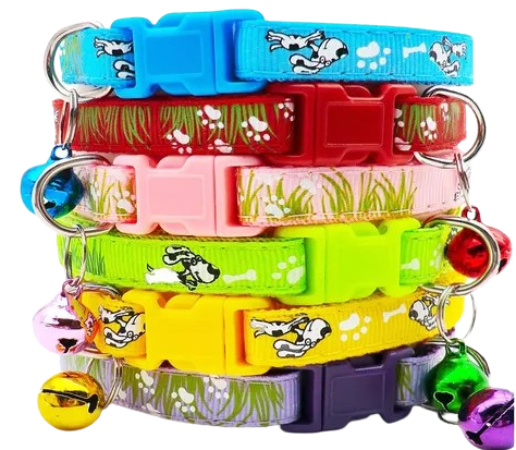 Collar con estampado