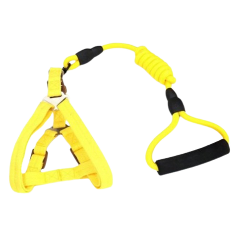 Arnés con paseador de Nylon