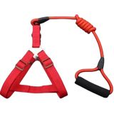 Arnés con paseador de Nylon