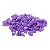 Marina Aquarium grave purpura