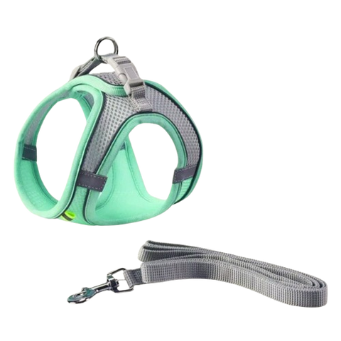 Pechera con paseador