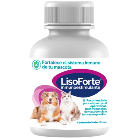 LisoForte Inmunoestimulante 60ml