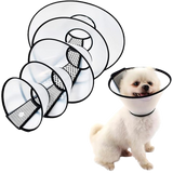 Collar isabelino Great Dog