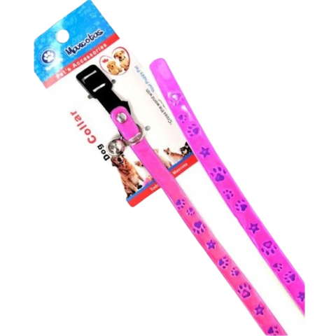 Collar Fluorescente