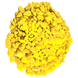 Grava iglo Marina amarillo 450gr