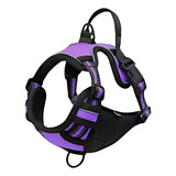 Pechera táctica morada