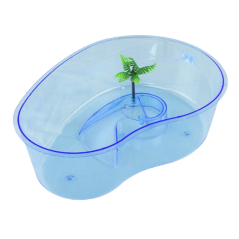 Acuario Para Tortuga