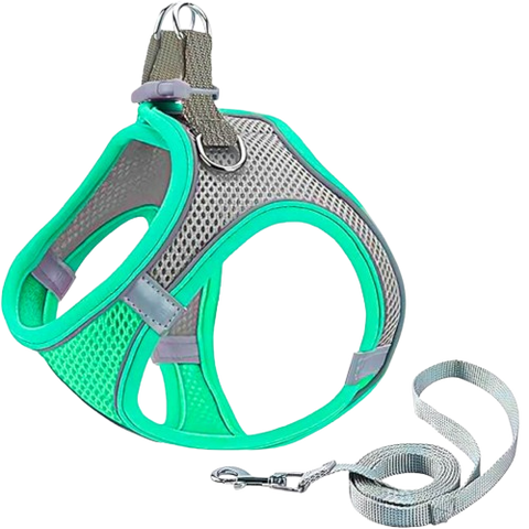 Pechera con paseador