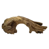 Troncos curados para acuarios