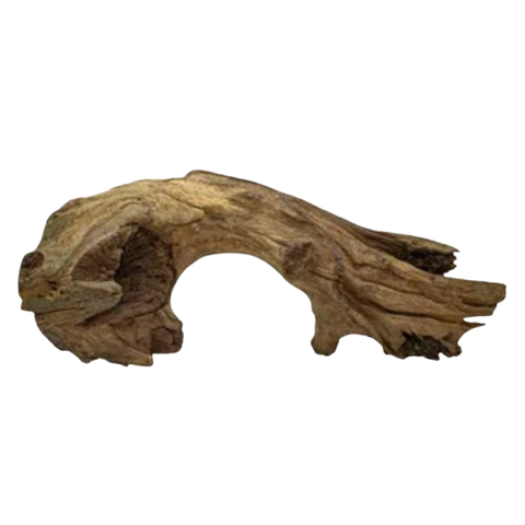 Troncos curados para acuarios