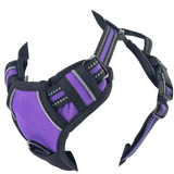 Pechera táctica morada