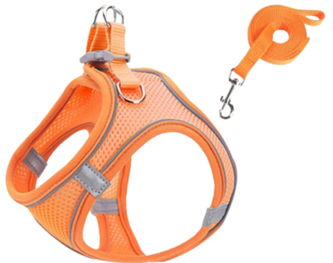 Pechera con paseador