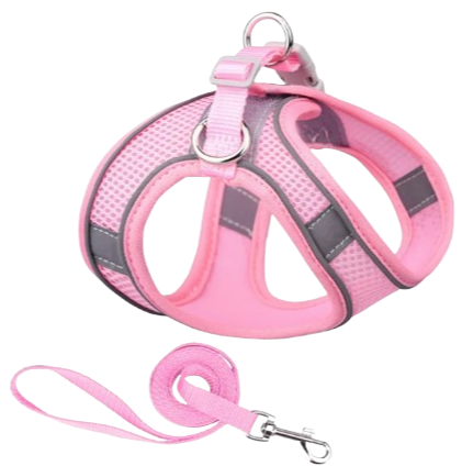 Pechera con paseador