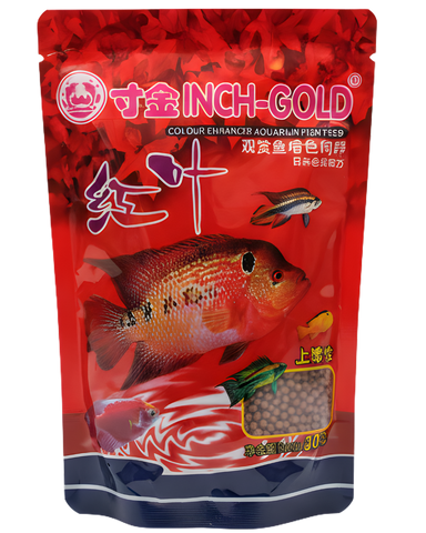 Inch Gold Cichlid 100gr