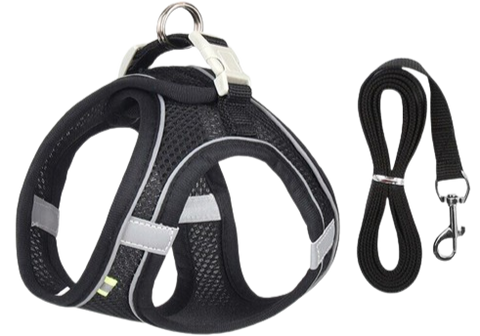 Pechera con paseador