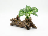 Tronco Natural Decorativo con Hojas para Acuarios y Terrarios